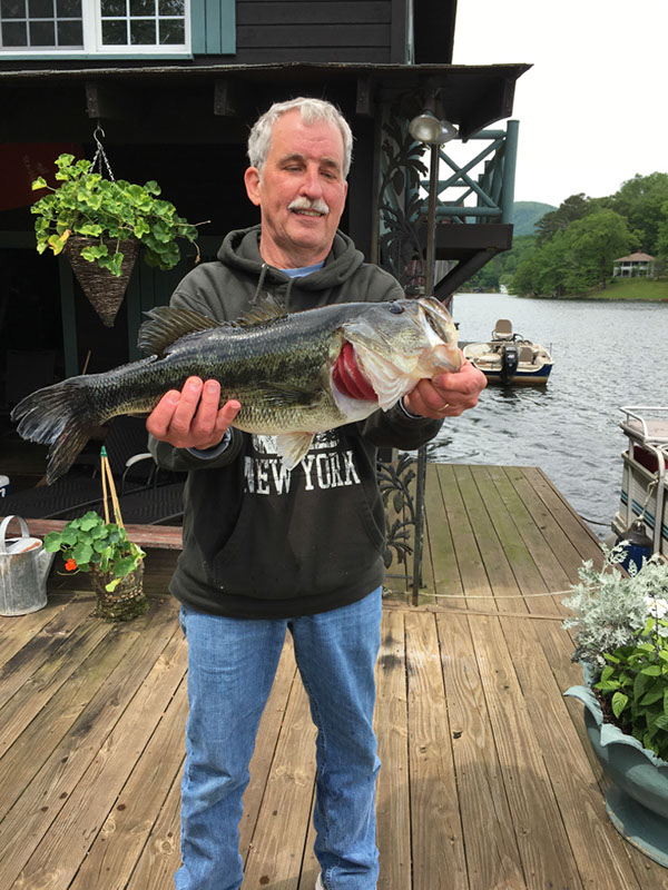 %_tempFileName6%20-%20Fish2017%